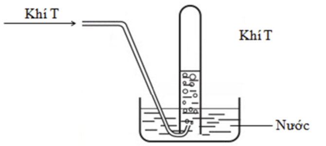 1683606630545.png 1683606630545.png