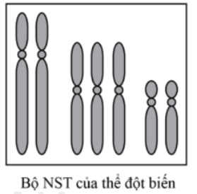 image2.png image2.png