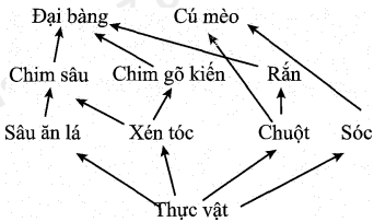 image3.png image3.png