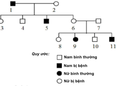 image5.png image5.png