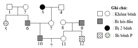 image6.png image6.png