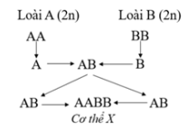 image2.png image2.png