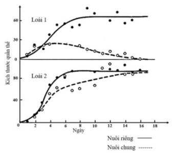 image4.png image4.png