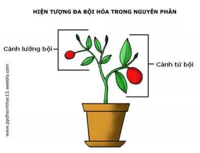 image4.jpg image4.jpg