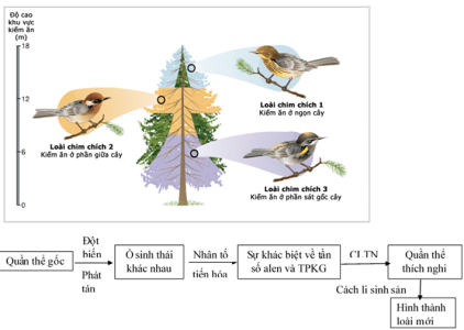 image8.png image8.png