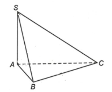 image7.png image7.png