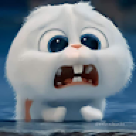 nmngoc0406