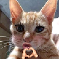 buithihuonggiang2006tb@gm