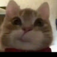 Đỗ thị thu trang