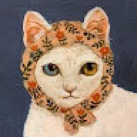 Đàm Thị Trúc Phương