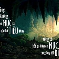 Nguyễn Thị Thu Trang
