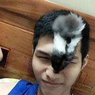Dando Nguyễn