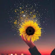 Lê Vũ Phương Uyên