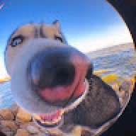 Nguyễn Lâm Thái Hà