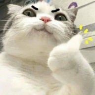 Nguyễn Đức Nhân 12b4