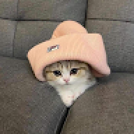 Konipihihi