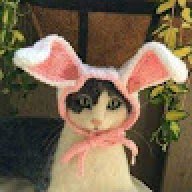 Ngô Thị Thu Hoài