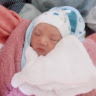 luudung