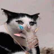 bánh tráng nướng mỡ hành