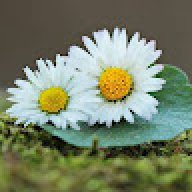 nguyễn thị mỹ huyền