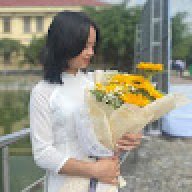 Nguyễn Ngọc 1003