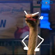 Nguyễn phương ly